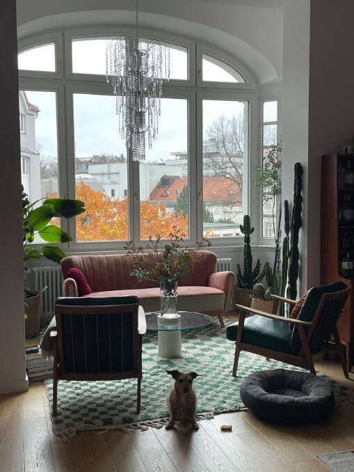 Libby and Katharina's dog Marie in their Berlin apartment. Picture by Libby Sinclair.