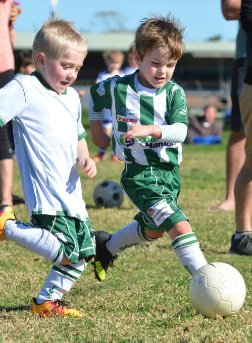 Right colours: Kempsey Saints under 6's Hamish Davies and Charlie Fuller in action on the weekend. Young players like these boys are encouraged to take advantage of the Celtic FC coaching clinic in Taree in September.