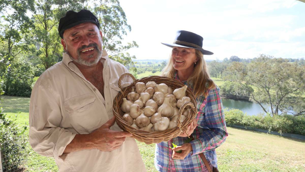 BUMPER CROP: Marcus Skipper and Sally Ayre-Smith sell their organic garlic at the markets for more than $60 per kilogram. 