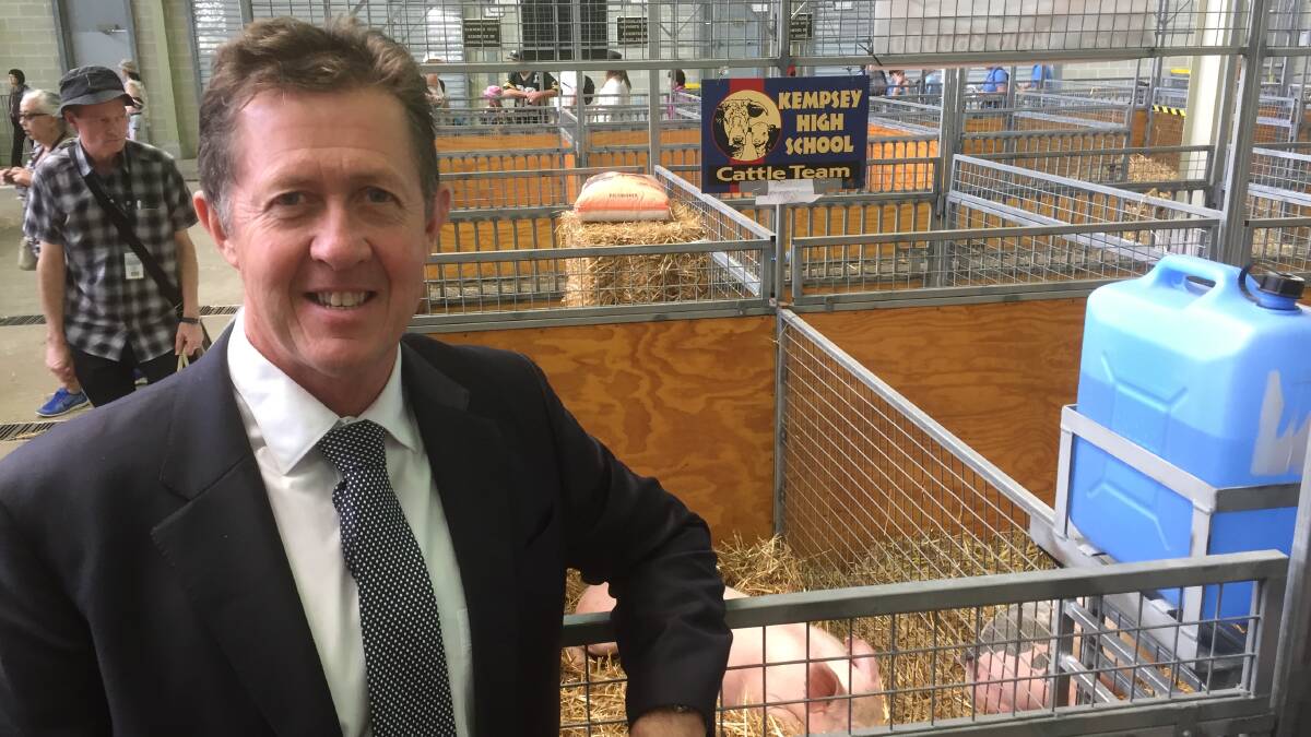 LUKE HARTSUYKER: “Along with their cattle, Kempsey High School also had some very well-conditioned pigs on display"