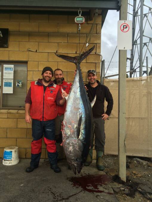 Michael Mcleod, Glen Bayer and Rick Maloney hauled in a 111-kilogram southern bluefin tuna. Picture: Supplied