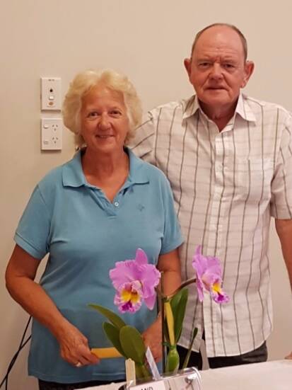 Bill and Jenny Lennon won the Champion Orchid of the show with a Cattleya.