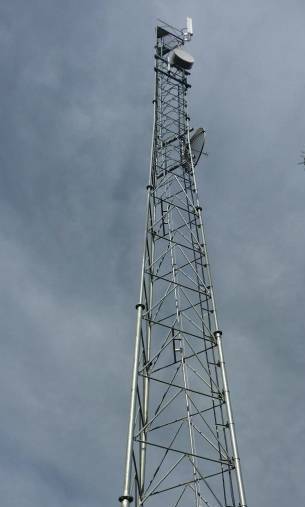 New tower to combat black spot