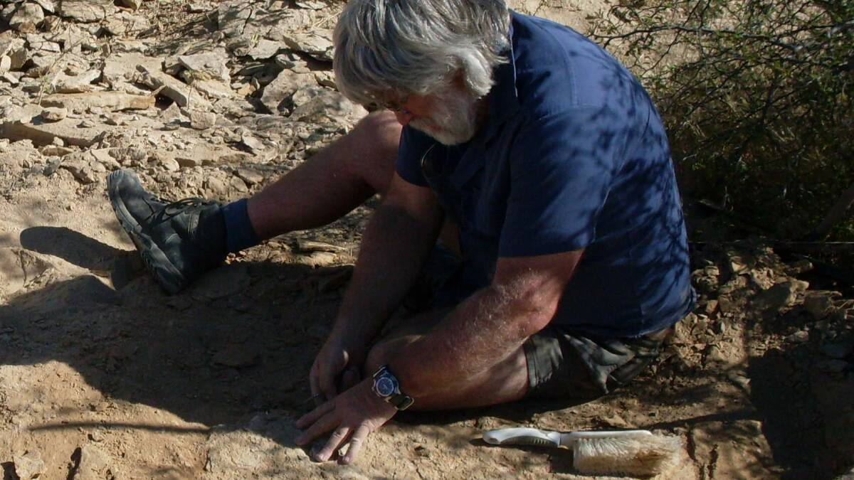 Mike D'Arcy searches for fossils.