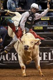 Aussie Lachlan Richardson grabs the bull by the horns
