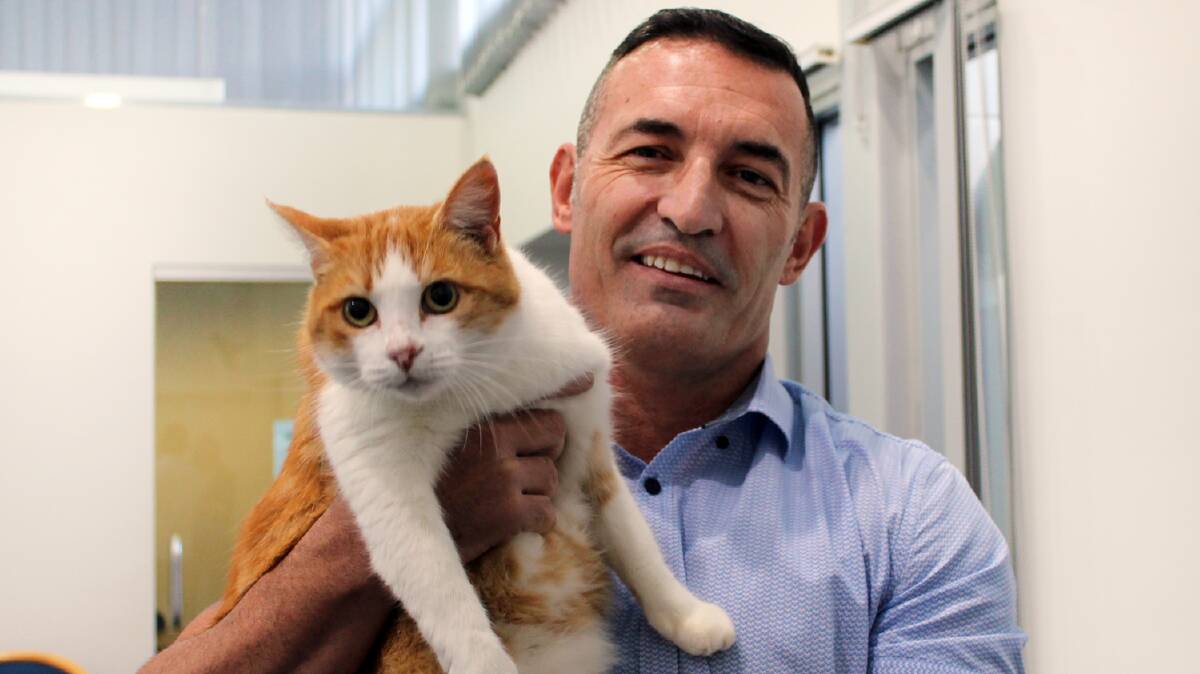Council rangers reunited Swilley the cat with her owners after scanning her microchip.