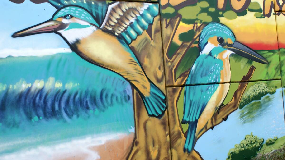 Mural celebrates best of Macleay | Photos | Video