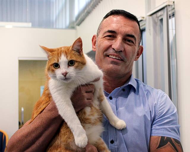 FOUND: Council rangers were able to reunite Swilley the cat with her owners earlier this year after scanning her microchip. Photo: Kempsey Shire Council.