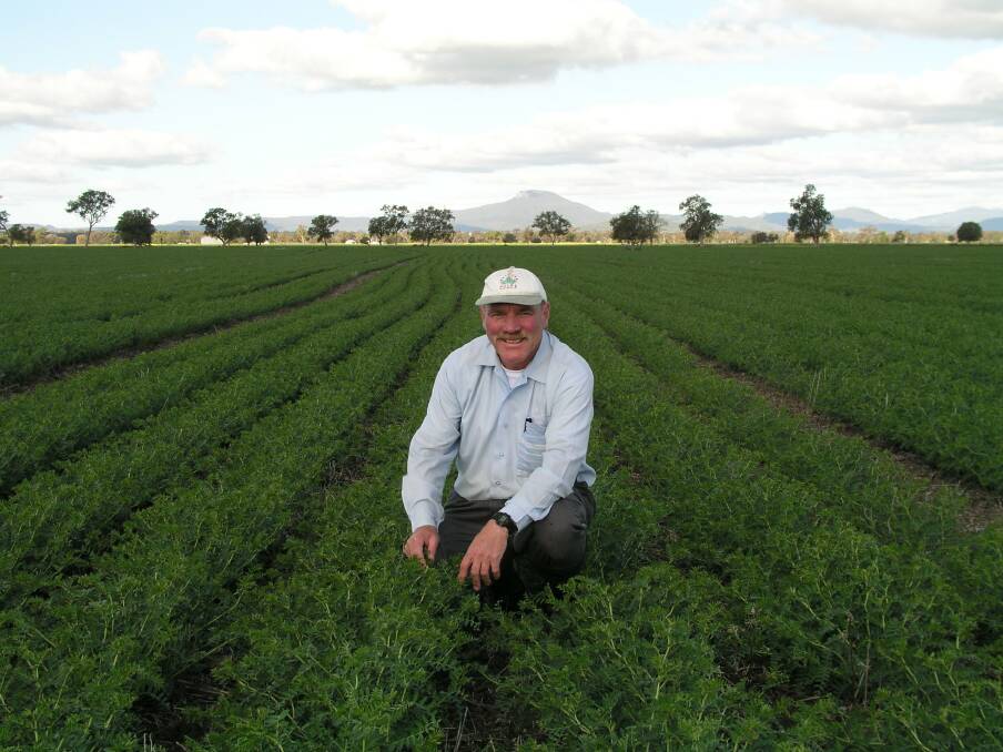 NSW senior plant pathologist Kevin Moore said generally, the wetter, cooler conditions during the growing season mean chickpea crops are now 3-6 weeks behind where they should be in terms of pod set and harvest, so most growers are still in disease management mode.