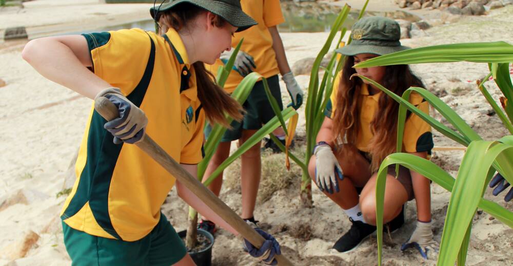 Students from South West Rocks Public School spent the day planting shrubs at the playground last Friday. 