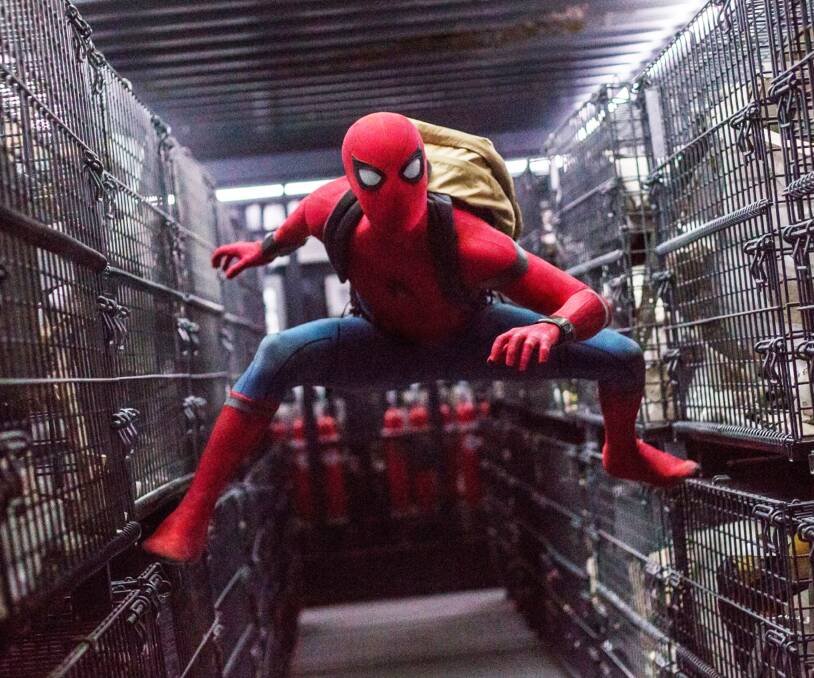 New thrills: Tom Holland in Spiderman: Homecoming.
Opens this Thursday, July 6 at 6pm in 3D at The Roxy.