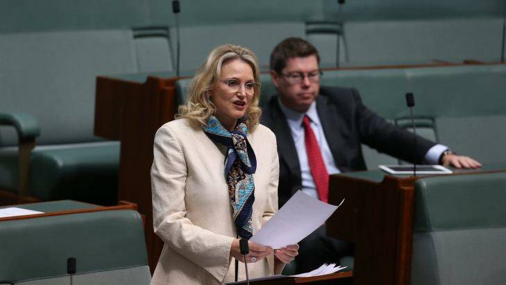 Melissa Parke delivers her valedictory speech at Parliament House. Photo: Andrew Meares