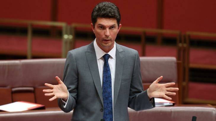Greens Senator Scott Ludlam says he and his party will not support the bill. Photo: Andrew Meares