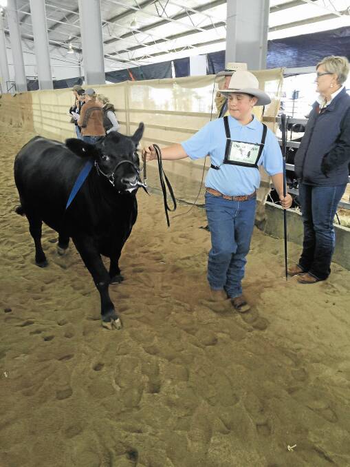 Charlie leading at the Angus Youth National Roundup in Armidale 