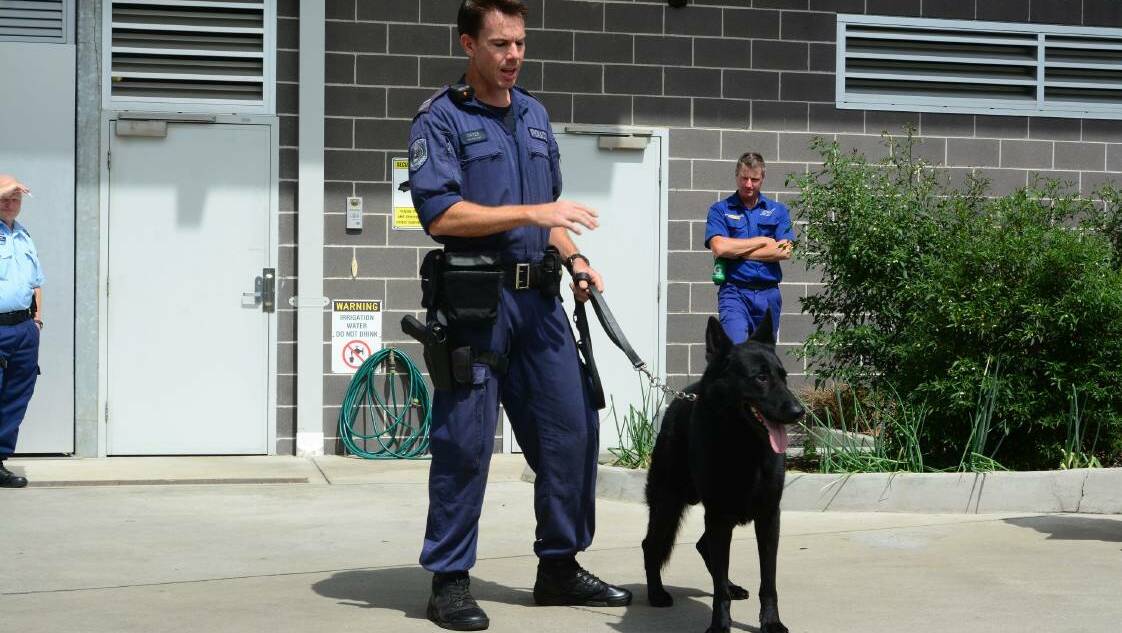 Senior Constable Matt Gates and his dog were involved in the capture of a home invasion suspect at Hat Head in March, 2015 