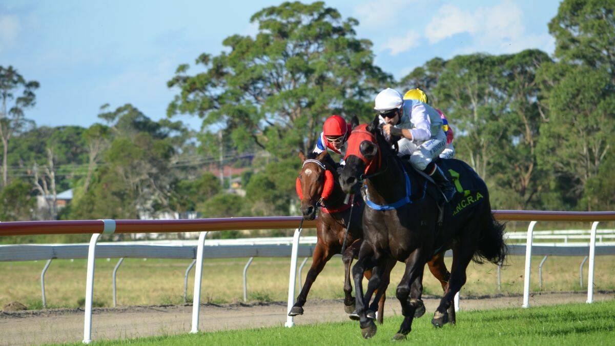Back on track: Butane, pictured on the way to victory in the same race last year, will defend the Diggers Cup at Warwick Park today.