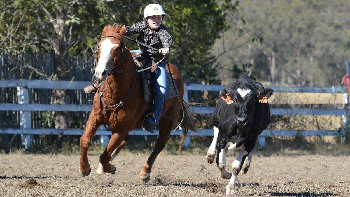 Campdrafting action from last weekend's two-day event in the Upper Macleay
