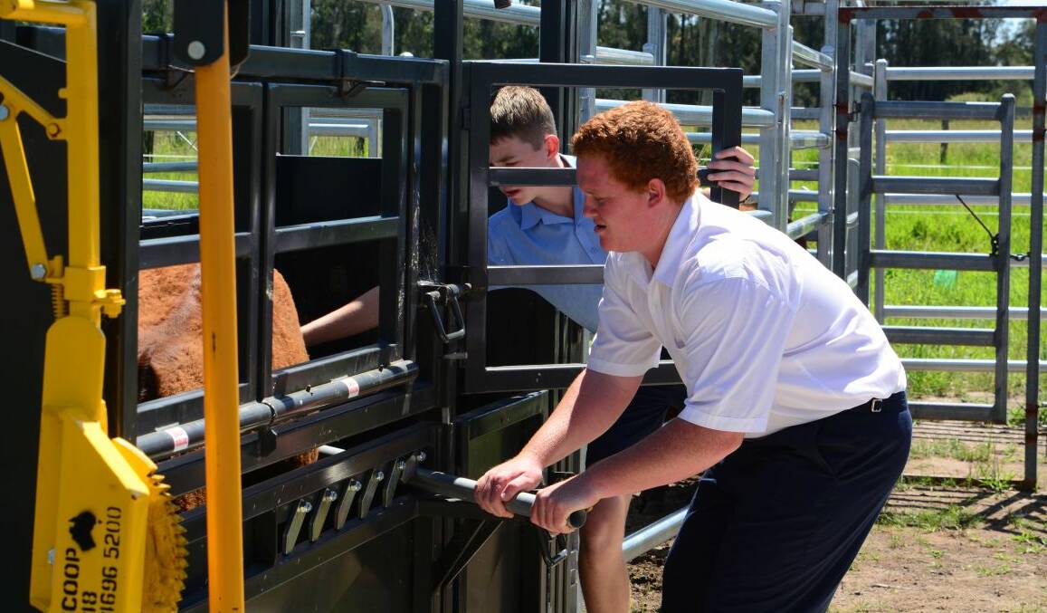Learning practical farm skills is a staple of the agriculture curriculum at St Paul’s College