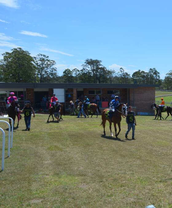 The horses go through their pre-race routine, prior to the opening race at the Kempsey race day