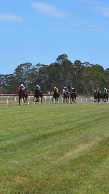 Kempsey horse trainer Barry Ratcliff's Malleable was the clear winner in the main race on January 10 at Kempsey racecourse.