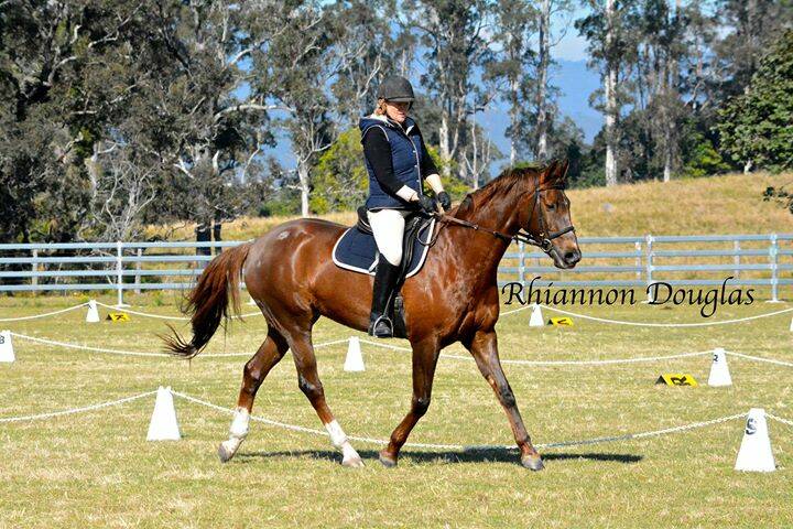 Trish Jackson on Bronson warming up for the Kempsey Show event.