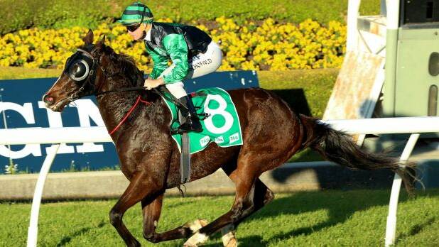 $30,000 upgrade for Taree Wingham race track