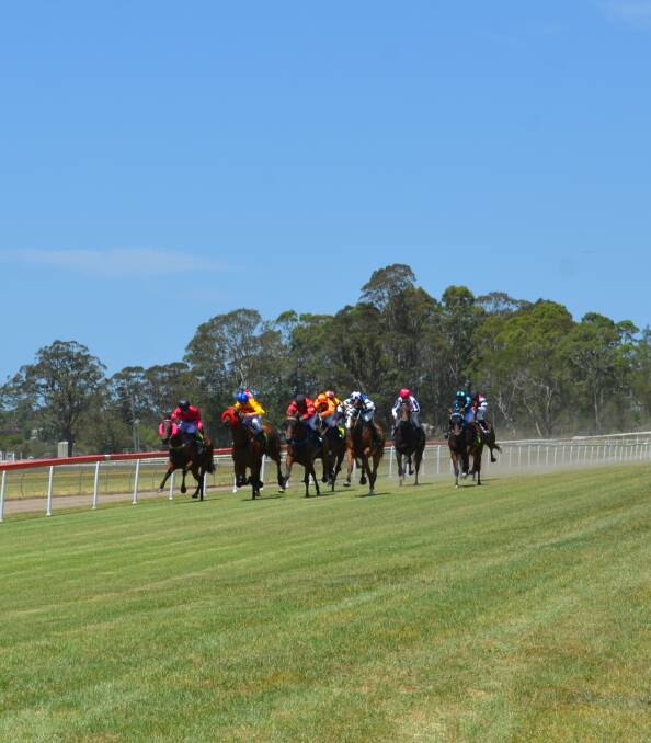The field is congested as the horses in race one speed down the straight towards the finish line. Photo: Callum McGregor.