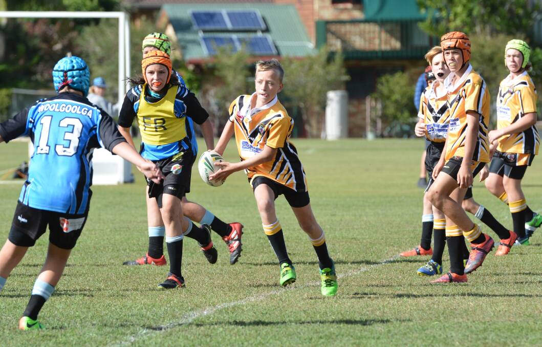 Macleay's Juniors have a chance to learn from their NRL heroes.