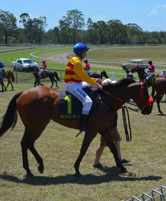 The jockeys and their horses warm up prior to the opening race on January 10 at Kempsey racecourse. 