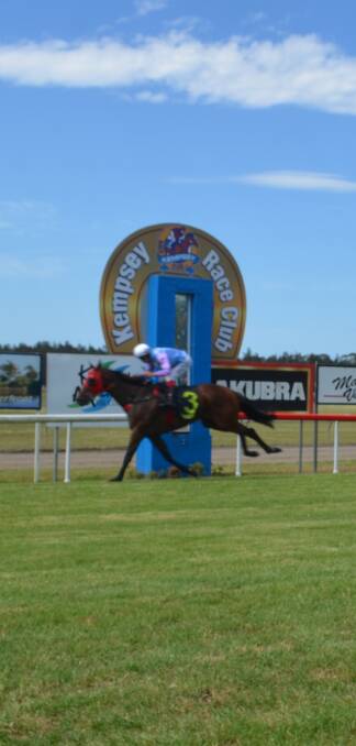 Kempsey horse trainer Barry Ratcliff's Malleable was first passed the post in race 3 on January 10 at Kempsey racecourse. Photo: Callum McGregor.