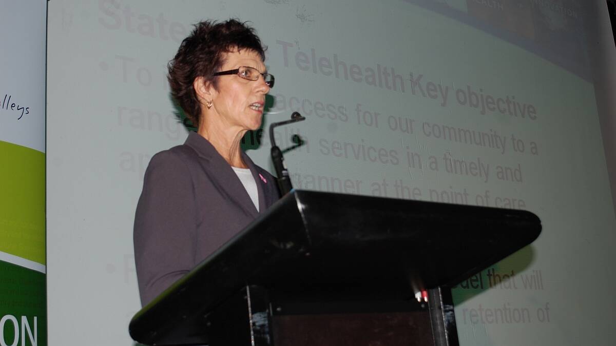 Hi-tech talk: Sandra Haynes, of the Mid North Coast Local Health District, gave a presentation on health service delivery