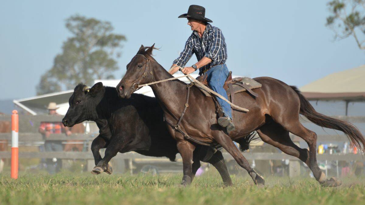 Tony Mortimer riding Little Abbey in the maiden final at the Gladstone Rodeo on the weekend