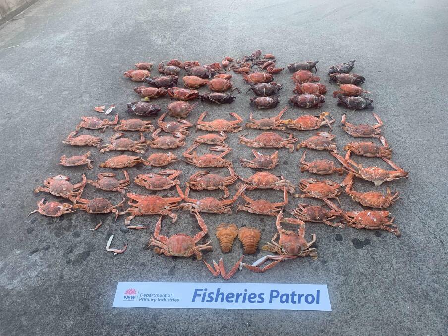 The alleged black market seafood was found on the premises in 2019. Photo: DPI Fisheries.