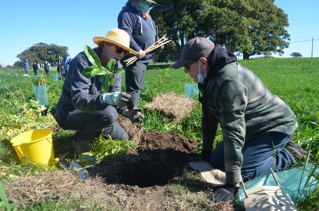 Volunteers at a tree planting event earlier this year. Photo taken by Sam Payne 