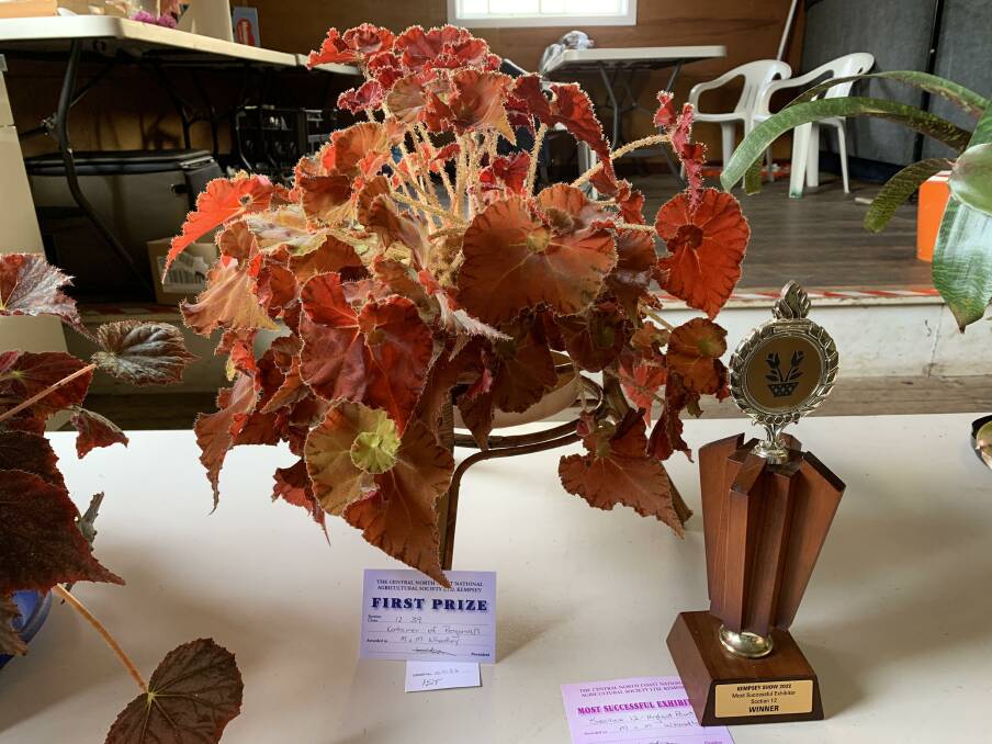Blooming success: Mellessa Wheatley received the most successful exhibitor award in the horticulture section at the Kempsey Show in what she believes is close to her 30th win. Photo supplied