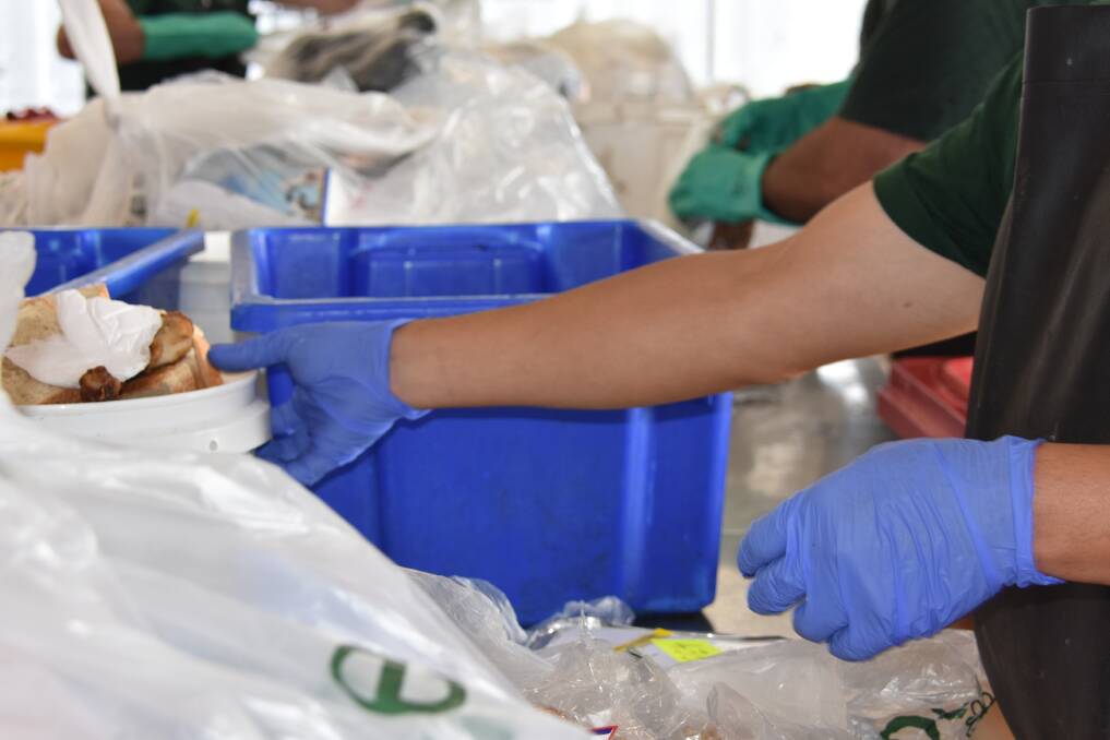 The Mid North Coast Correctional Centre is running one of the states first recycling programs with the aim of reducing the impact of waste as well as improving the lives of its inmates. Picture by Mardi Borg