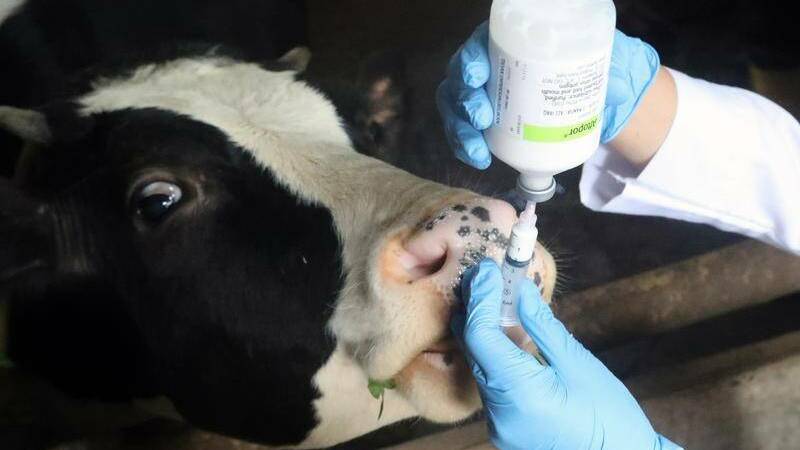 Farmers are being encouraged to attend animal disease information sessions