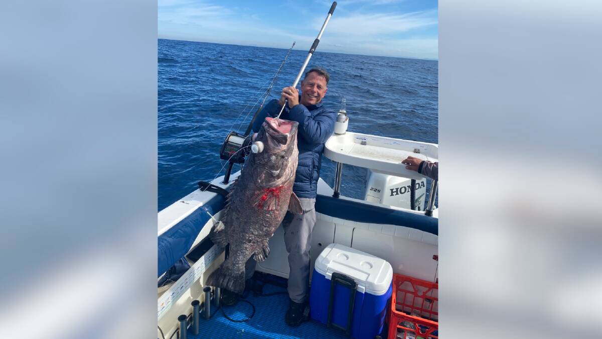 What's biting; monster bass groper caught off handmade fishing rig, The  Macleay Argus