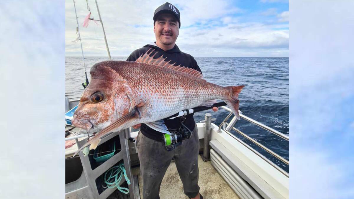 What's biting: time for local anglers to dust-off their pelagic gear, The  Macleay Argus