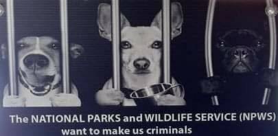 Crescent Head Dog Walkers Group (CHDaWG) feel their domestic dogs are being treated like criminals. Picture supplied.
