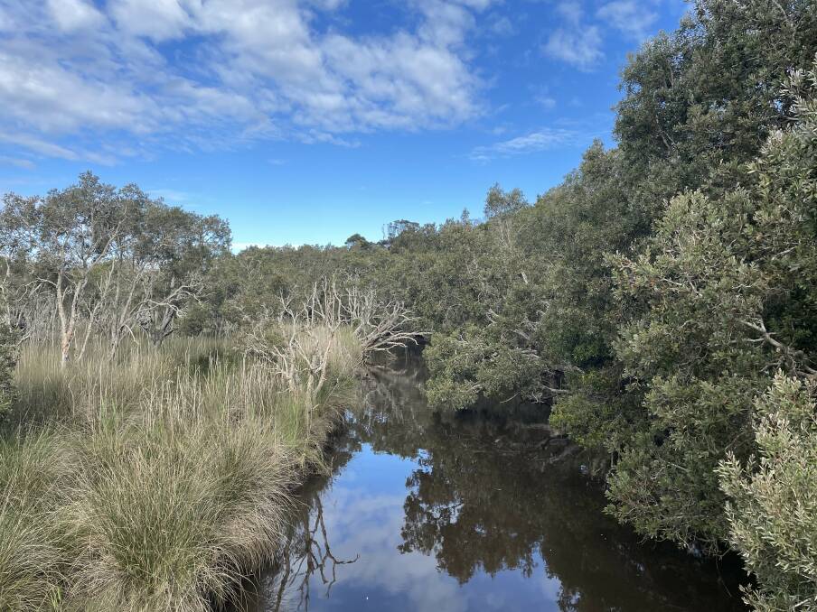 Saltwater creek parallel to Phillip Drive. Picture Ellie Chamberlain