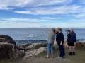 Locals spot whales behind Trial Bay Gaol ruins, along with birds of prey and a turtle. Photo: Ellie Chamberlain