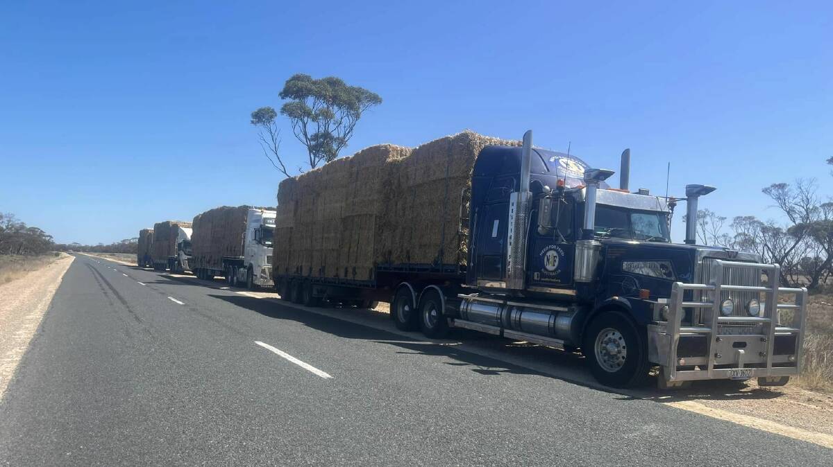 Need for Feed supplied farmers with hay but more fodder is needed for livestock impacted by the Willi Willi fire. Picture supplied by Need for Feed.