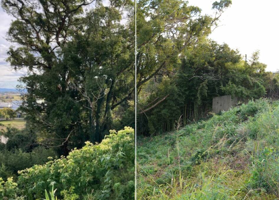 Before and after: barrier maintenance work has already made significant progress in the park. Photo: supplied and Emily Walker