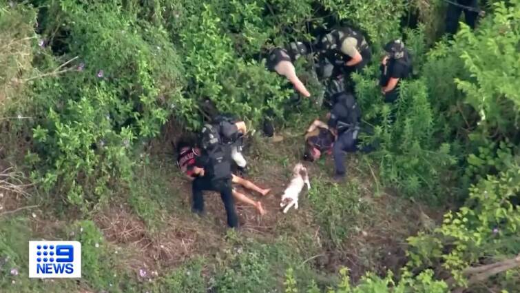 The men were arrested in bushland on the Kempsey riverbank. Picture from Nine News.