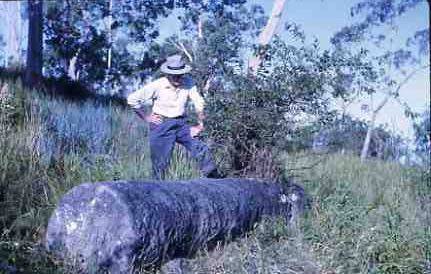 The late Gordon Secombe from Kempsey museum with the broken marble column in
1964. Picture supplied by the Macleay River Historical Society