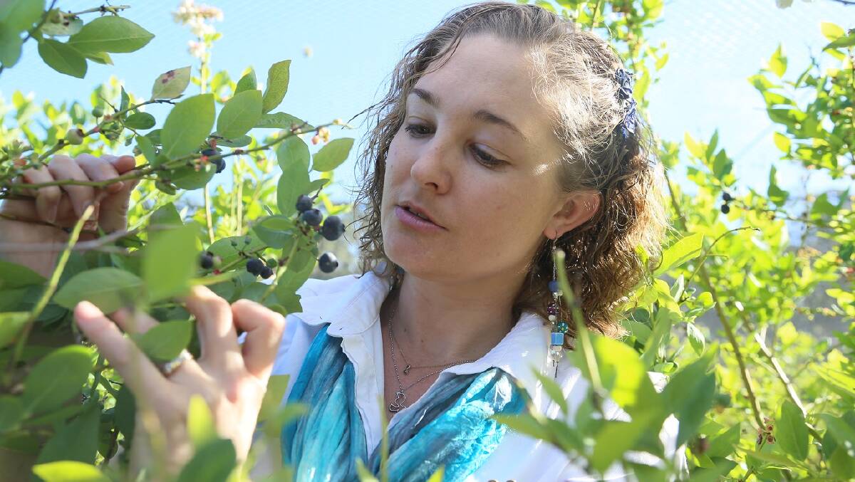 Producer Caitlin Williams of Blueberry Greens