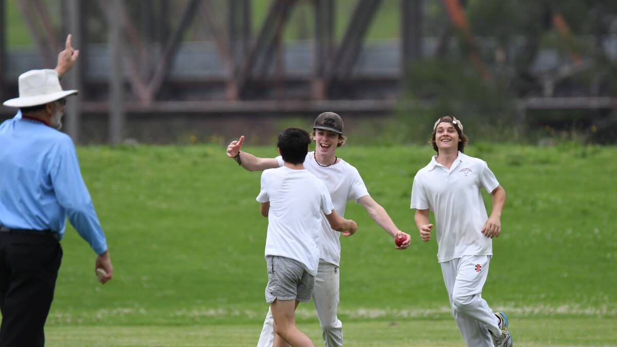 OUT: Lower grade cricketers celebrate a wicket. Photo: Penny Tamblyn.