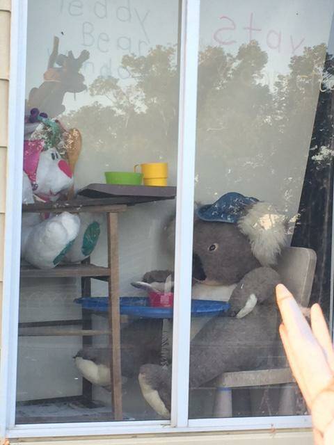 One of Kascie Robinson's bears peers from the window at Frederickton