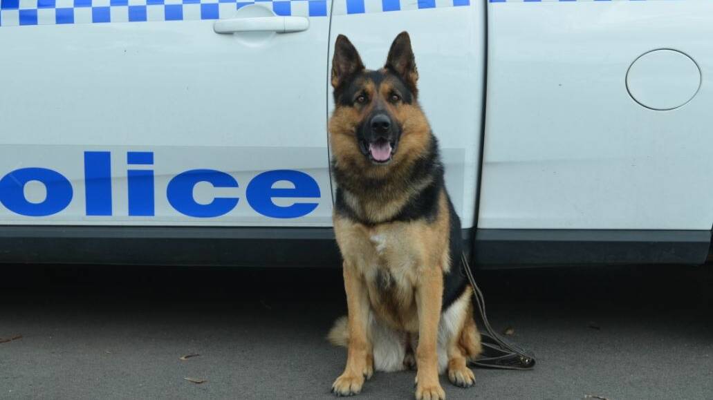 Police dog Mona